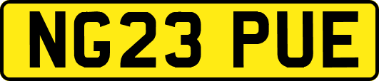 NG23PUE