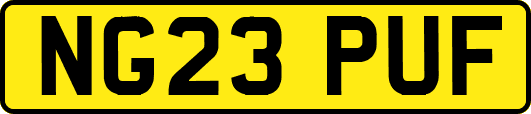 NG23PUF