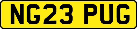 NG23PUG