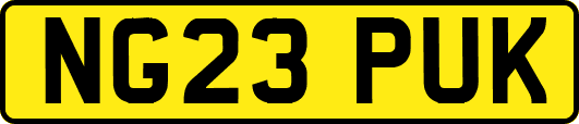 NG23PUK