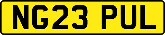 NG23PUL