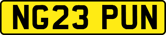 NG23PUN