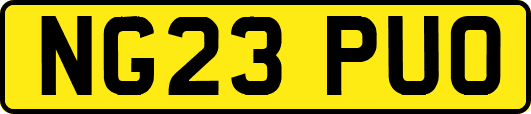 NG23PUO