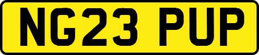 NG23PUP
