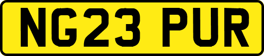 NG23PUR