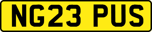 NG23PUS