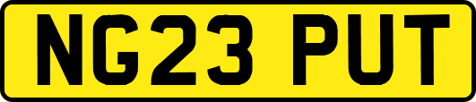 NG23PUT