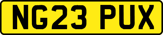 NG23PUX