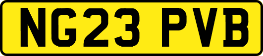 NG23PVB