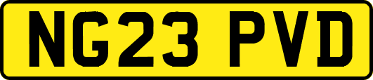 NG23PVD