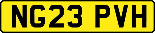 NG23PVH