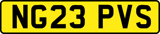 NG23PVS