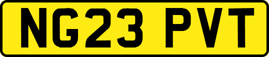 NG23PVT