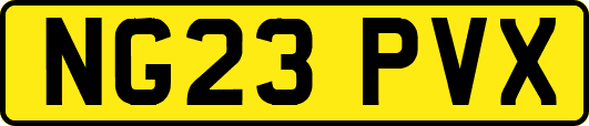 NG23PVX