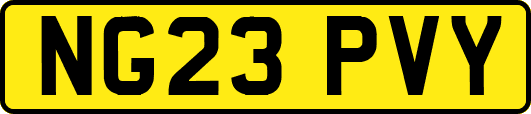 NG23PVY
