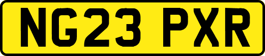 NG23PXR