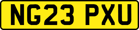NG23PXU