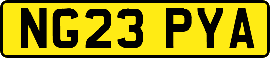 NG23PYA