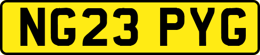 NG23PYG