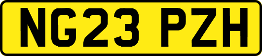NG23PZH