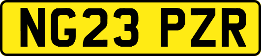 NG23PZR