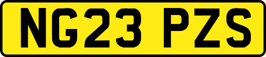 NG23PZS