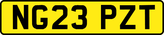 NG23PZT