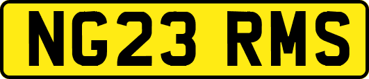 NG23RMS