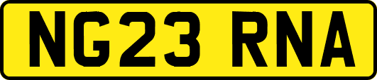 NG23RNA