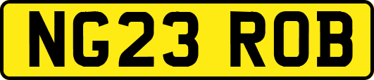 NG23ROB