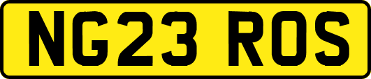 NG23ROS