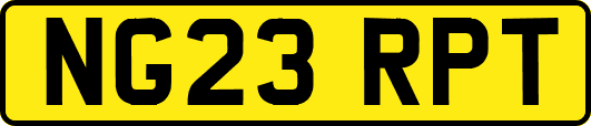 NG23RPT