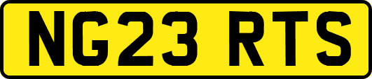 NG23RTS