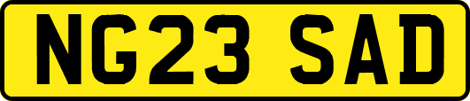 NG23SAD