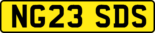 NG23SDS