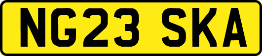 NG23SKA