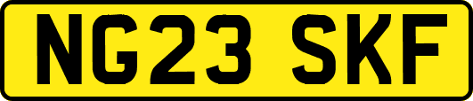 NG23SKF