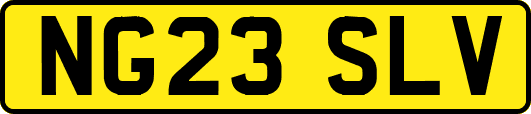 NG23SLV