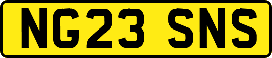 NG23SNS