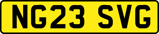 NG23SVG