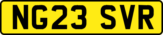 NG23SVR