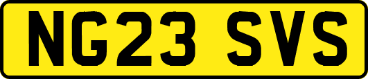 NG23SVS