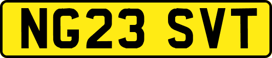 NG23SVT