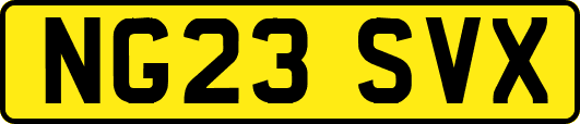 NG23SVX