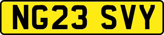 NG23SVY
