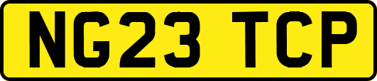 NG23TCP