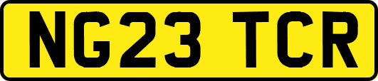 NG23TCR