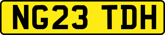 NG23TDH