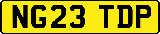 NG23TDP