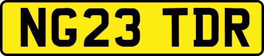 NG23TDR